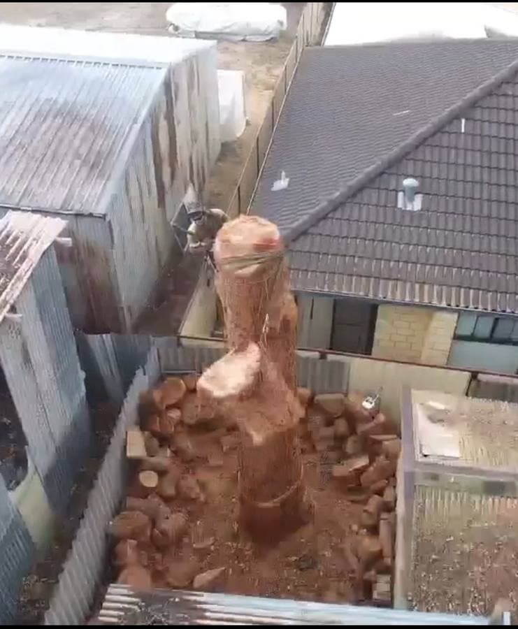 Drone shot - gum removal between houses