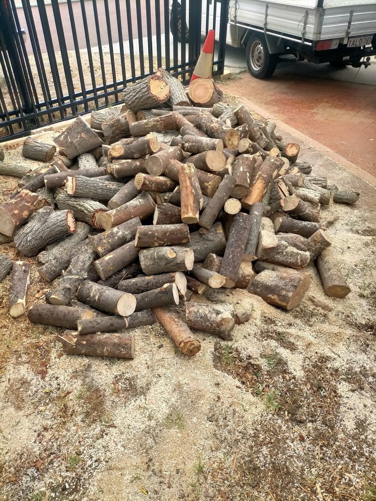 Freshly cut firewood, ready for splitting