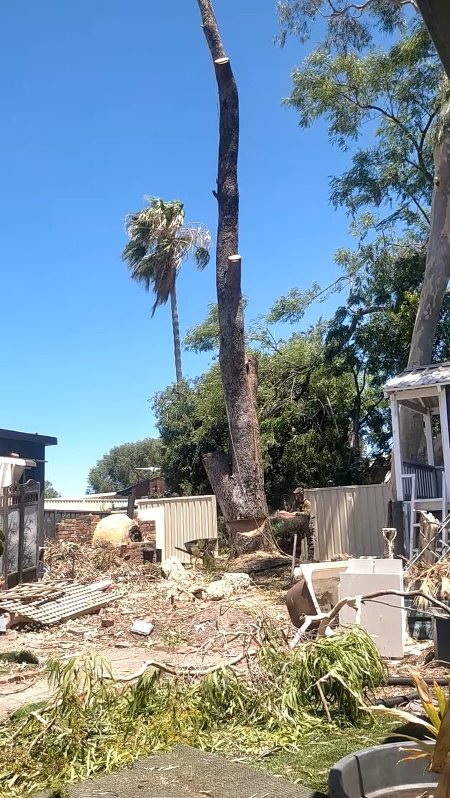 Gum removal, backyard job