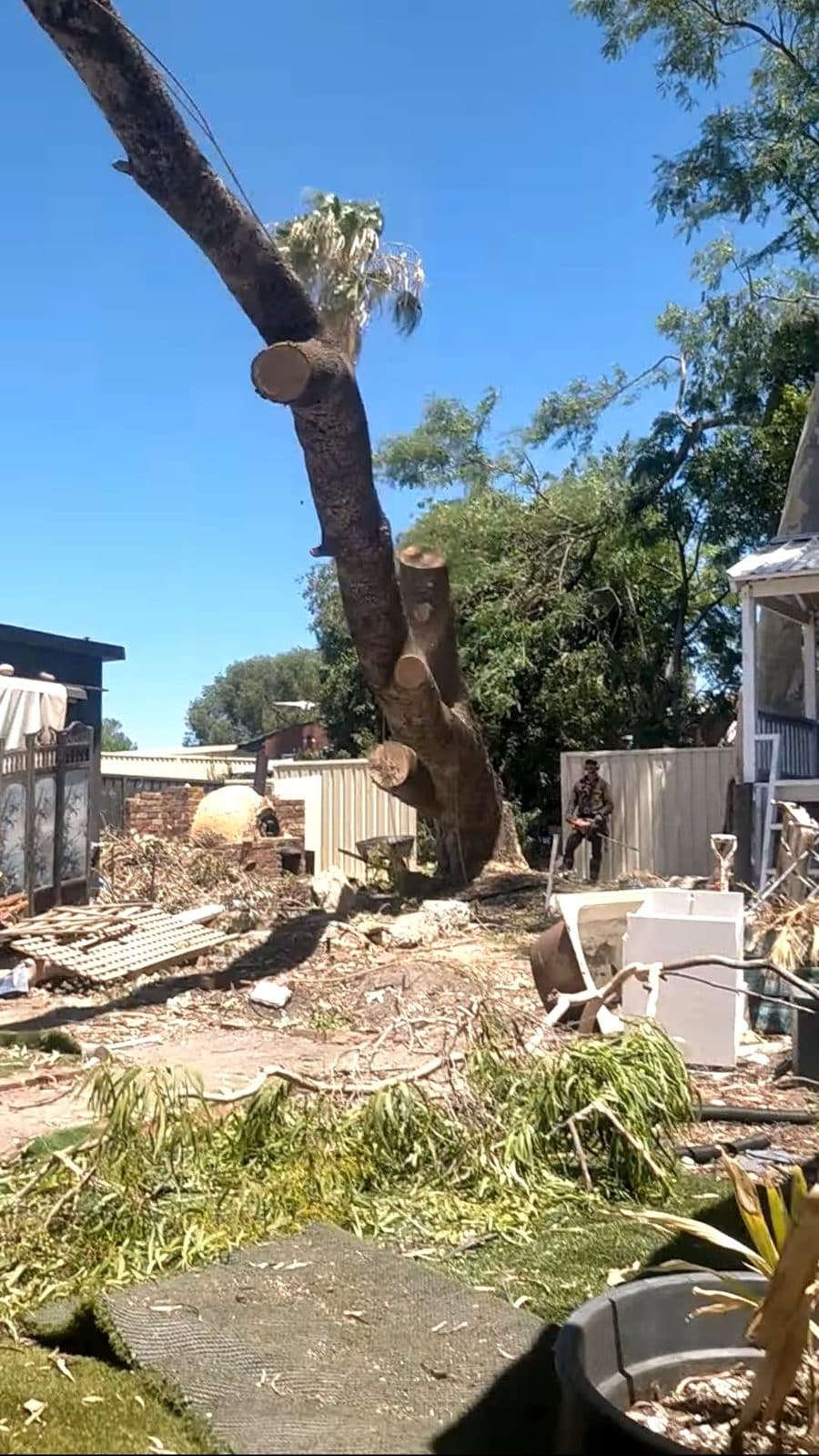 Gum removal, backyard job