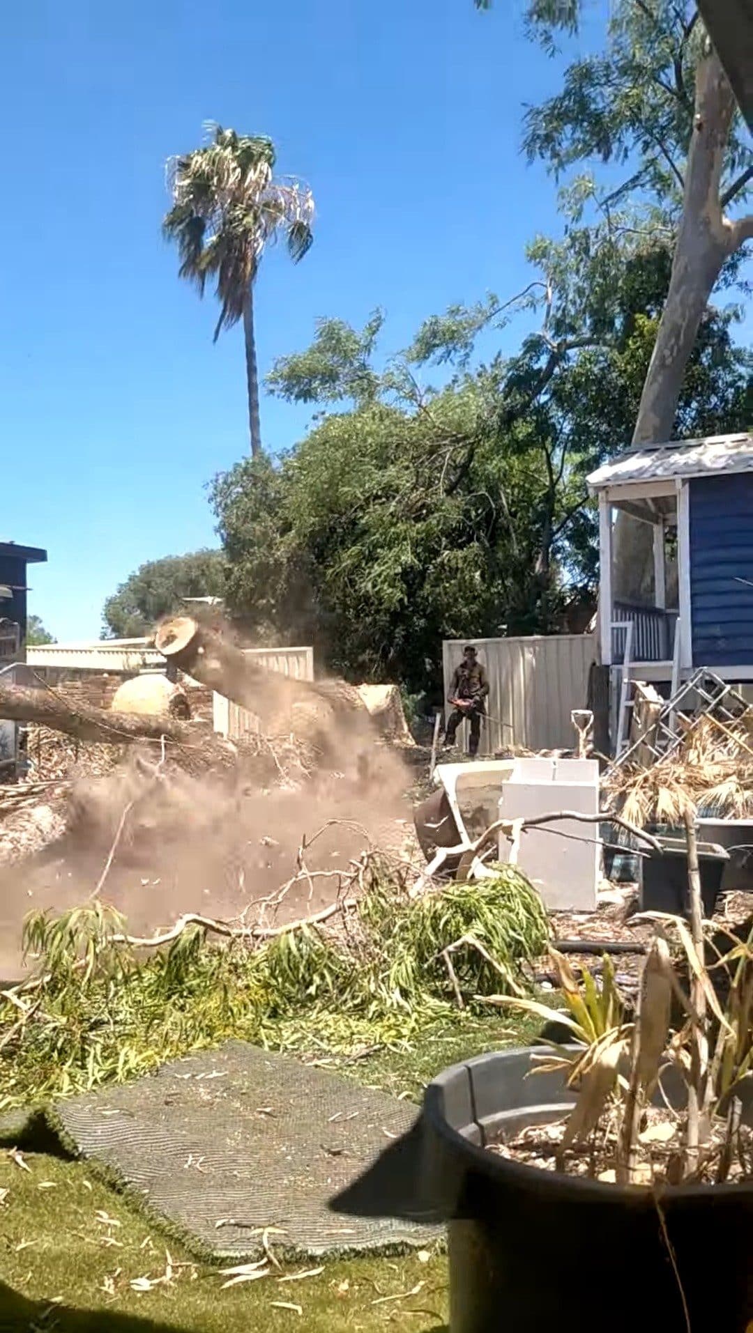 Gum removal, backyard job