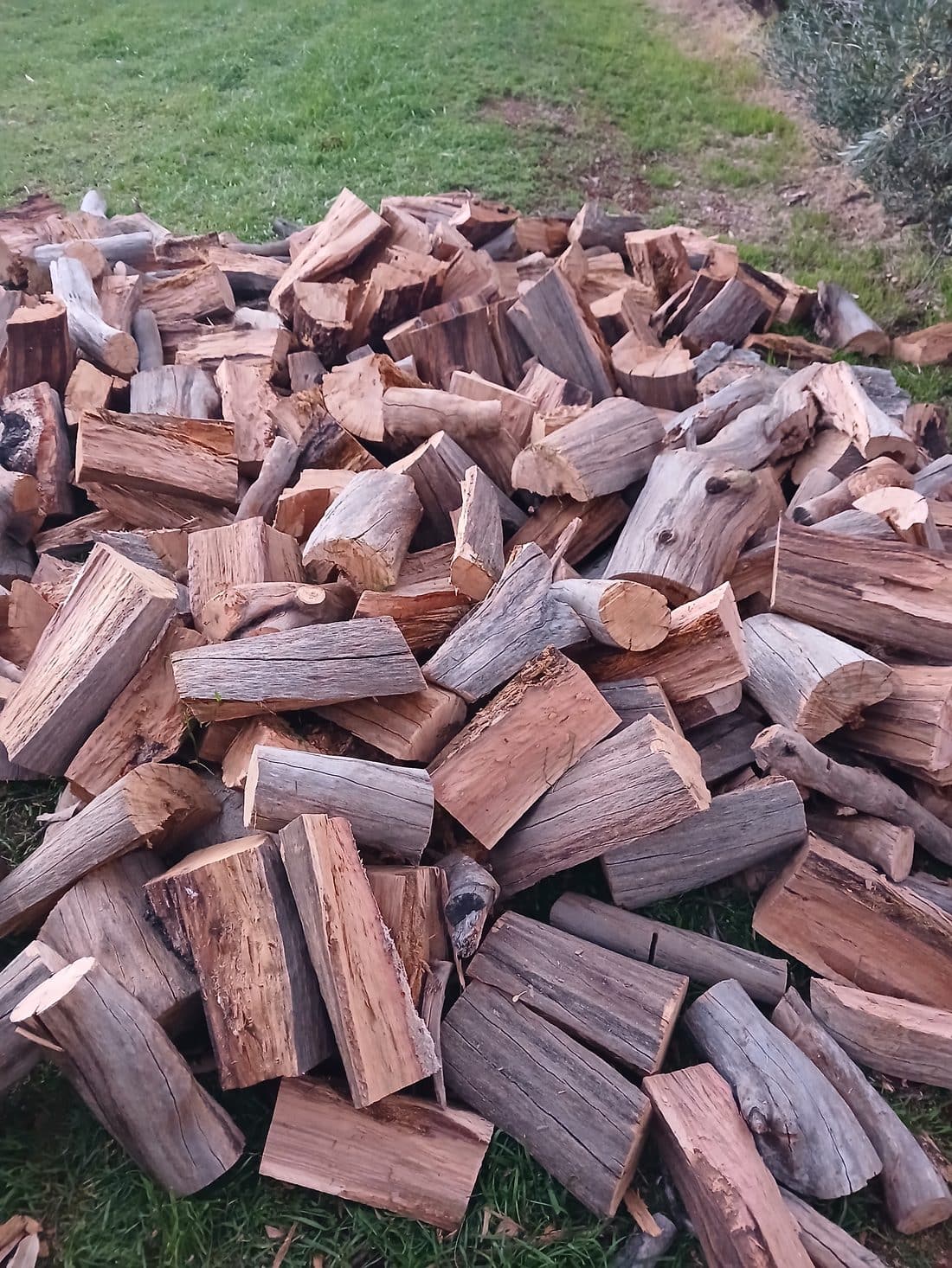 Split firewood
